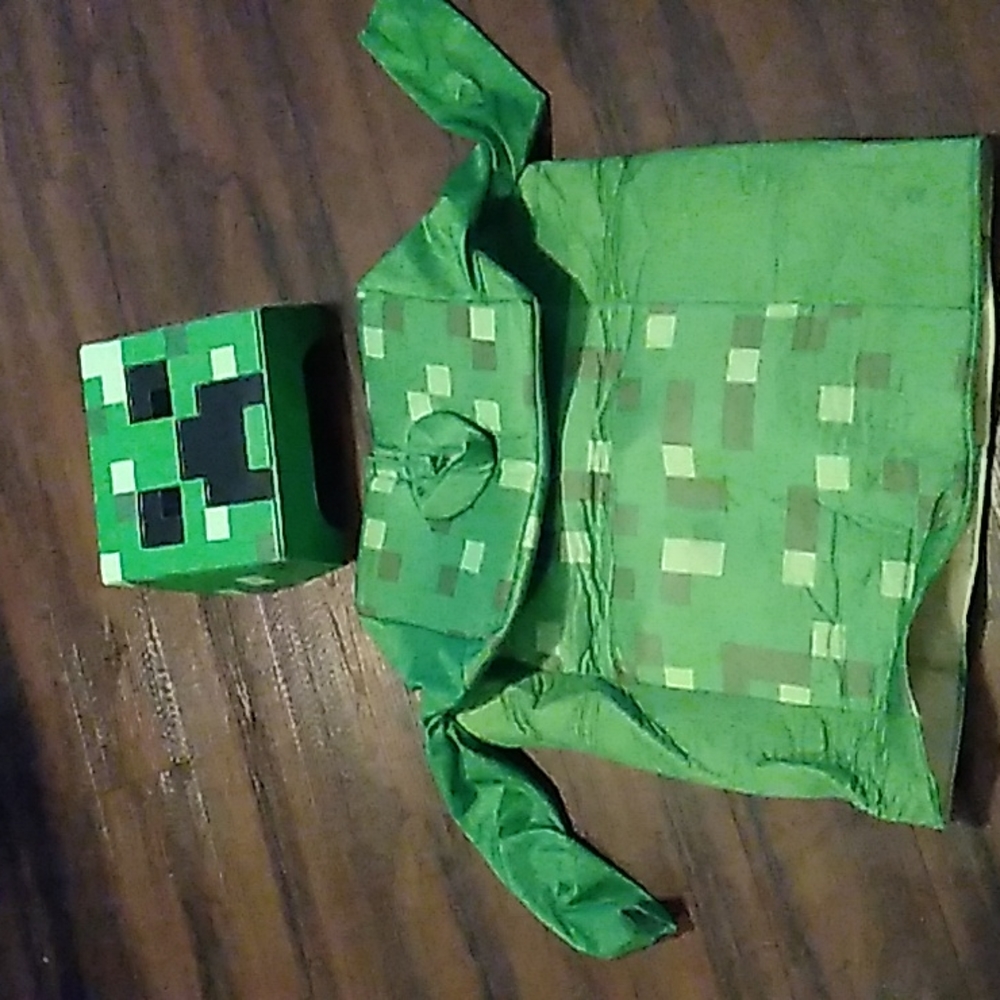 Mine craft costume